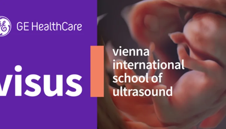 VISUS Courses in the Nordics and the Netherlands